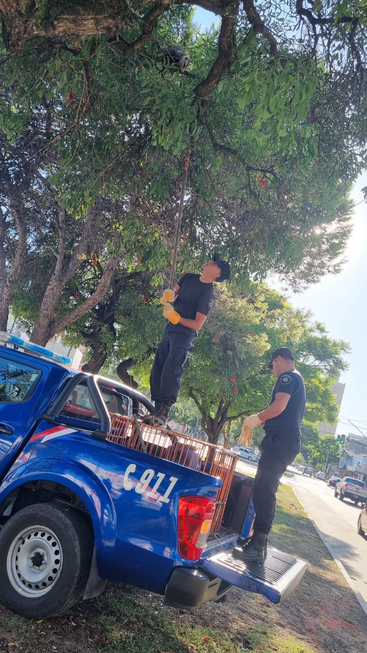 APREHENDIDO EN SANTA FE UN HOMBRE DE RECONQUISTA QUE TRANSPORTABA MÁS DE 4 KG DE MARIHUANA