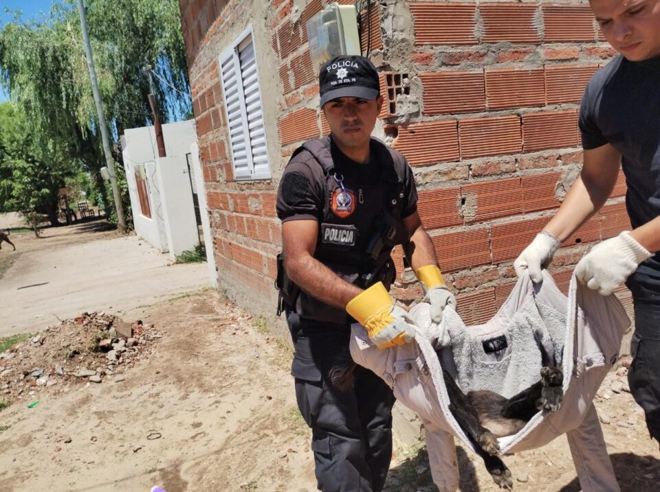 APREHENDIDO EN SANTA FE UN HOMBRE DE RECONQUISTA QUE TRANSPORTABA MÁS DE 4 KG DE MARIHUANA