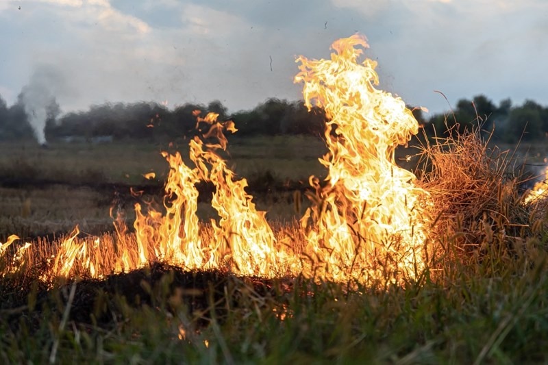 Recomendaciones para prevenir incendios rurales o forestales
