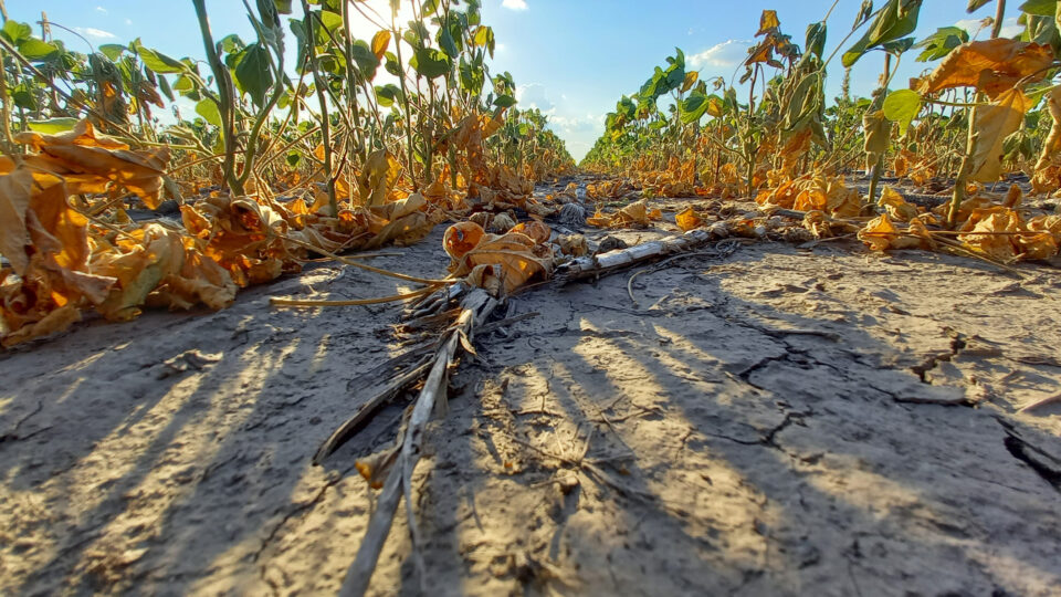 La provincia continúa impulsando medidas de apoyo al sector agropecuario afectado por la sequía