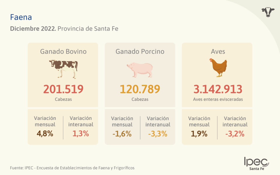 Faena  Diciembre 2022