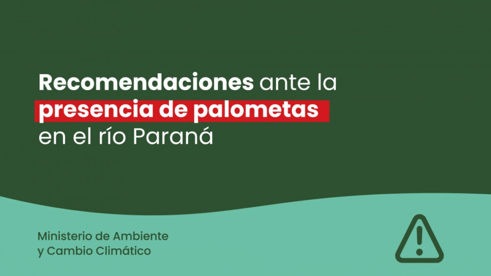 La provincia brindó recomendaciones ante la presencia de palometas en el río Paraná