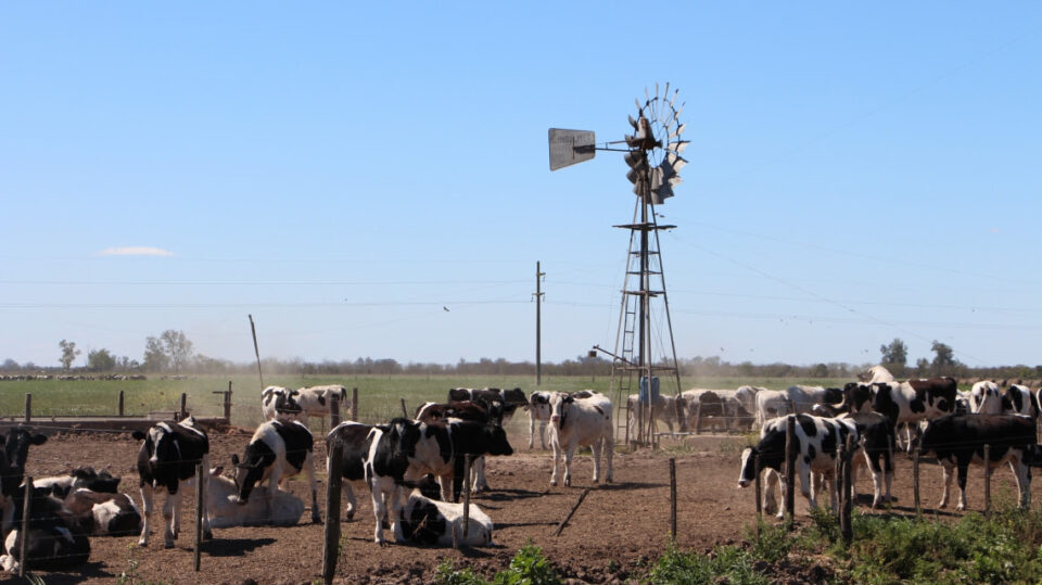 La provincia recuerda la vigencia de la línea de financiamiento de reactivación productiva para productores agropecuarios