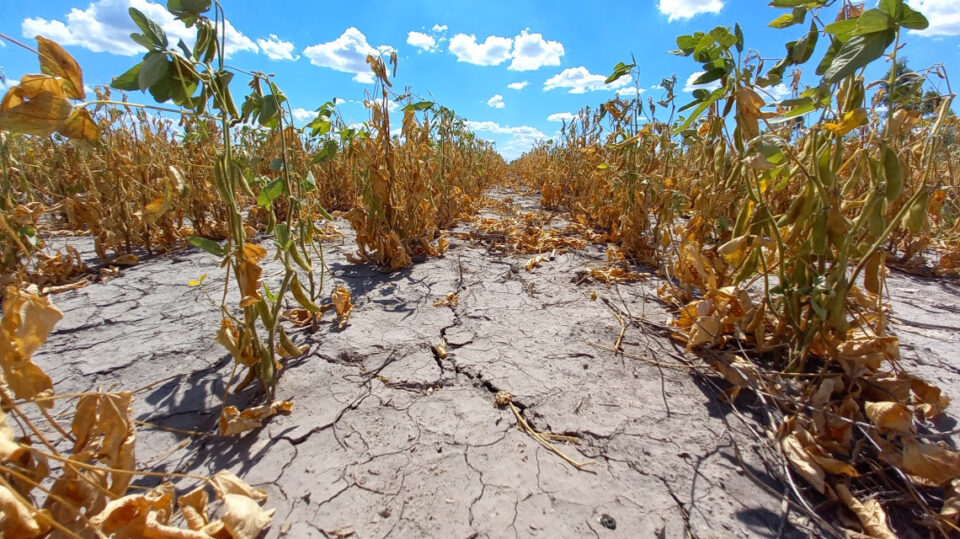 Emergencia Agropecuaria: La provincia inicia un operativo para asesorar a productores interesados en acceder a beneficios nacionales