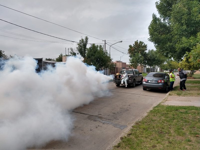 Dengue: Continúa la fumigación espacial