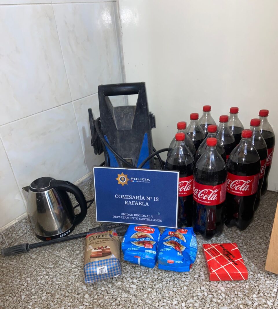 SECUESTRO DE ELEMENTOS SUSTRAIDOS Y DETENCION