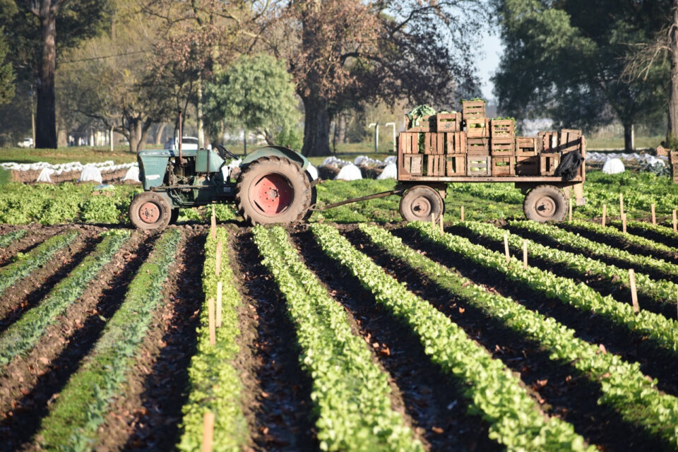 La provincia acompaña a productores frutihortícolas afectados por la sequía