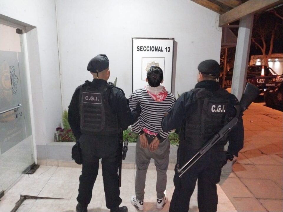 DETUVIERON A UN DELINCUENTE