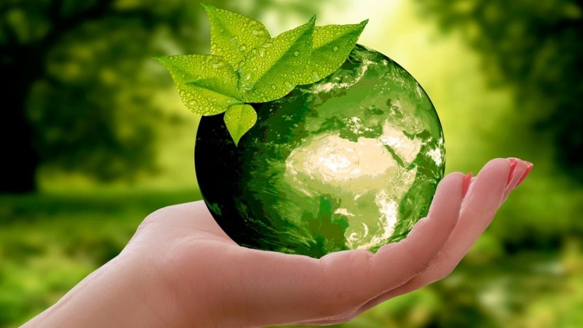 Empresas comprometidas con el cuidado del ambiente