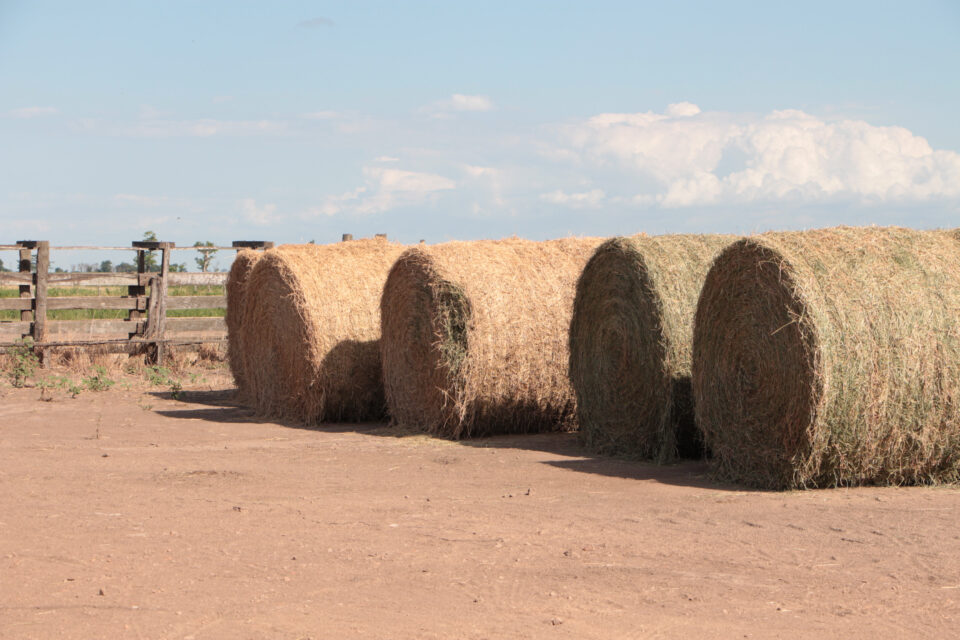 La provincia ofrece créditos con tasa bonificada por .000 mil millones al sector agropecuario
