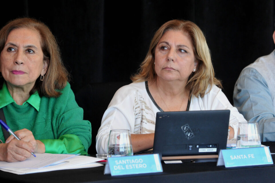 Martorano participó del Consejo Federal de Salud