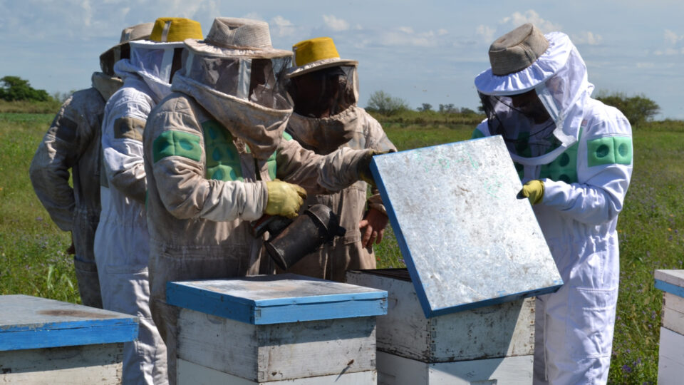 La Provincia promueve la utilización de una herramienta para prevenir la mortandad en colmenas