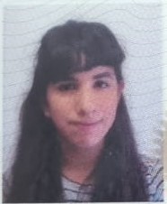 Se solicita información sobre Angelina Solange Godoy