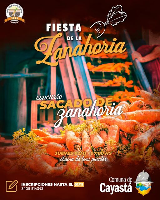 CAYASTA: CONCURSO SACADO DE ZANAHORIAS