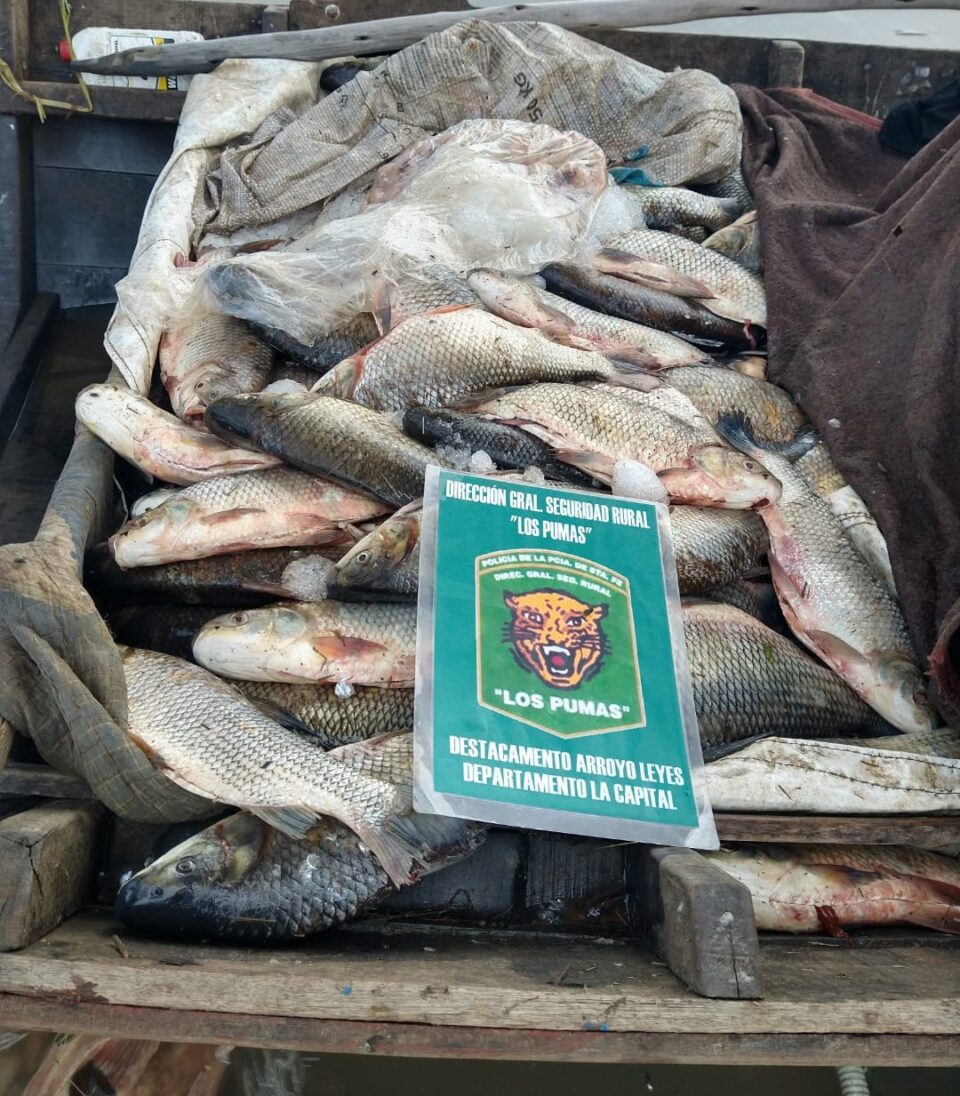 Provincia multó a pescadores por cometer infracciones a la Ley de Protección de la Fauna Ictícola