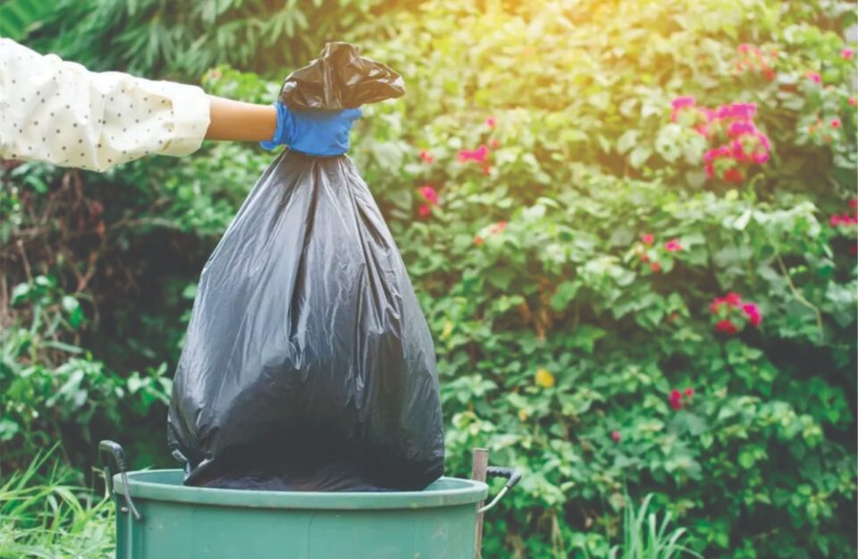 El Gobierno municipal prestará servicios diferenciados por el 24 de octubre