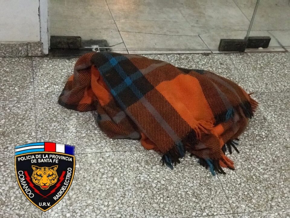 SECUESTRO DE ELEMENTOS