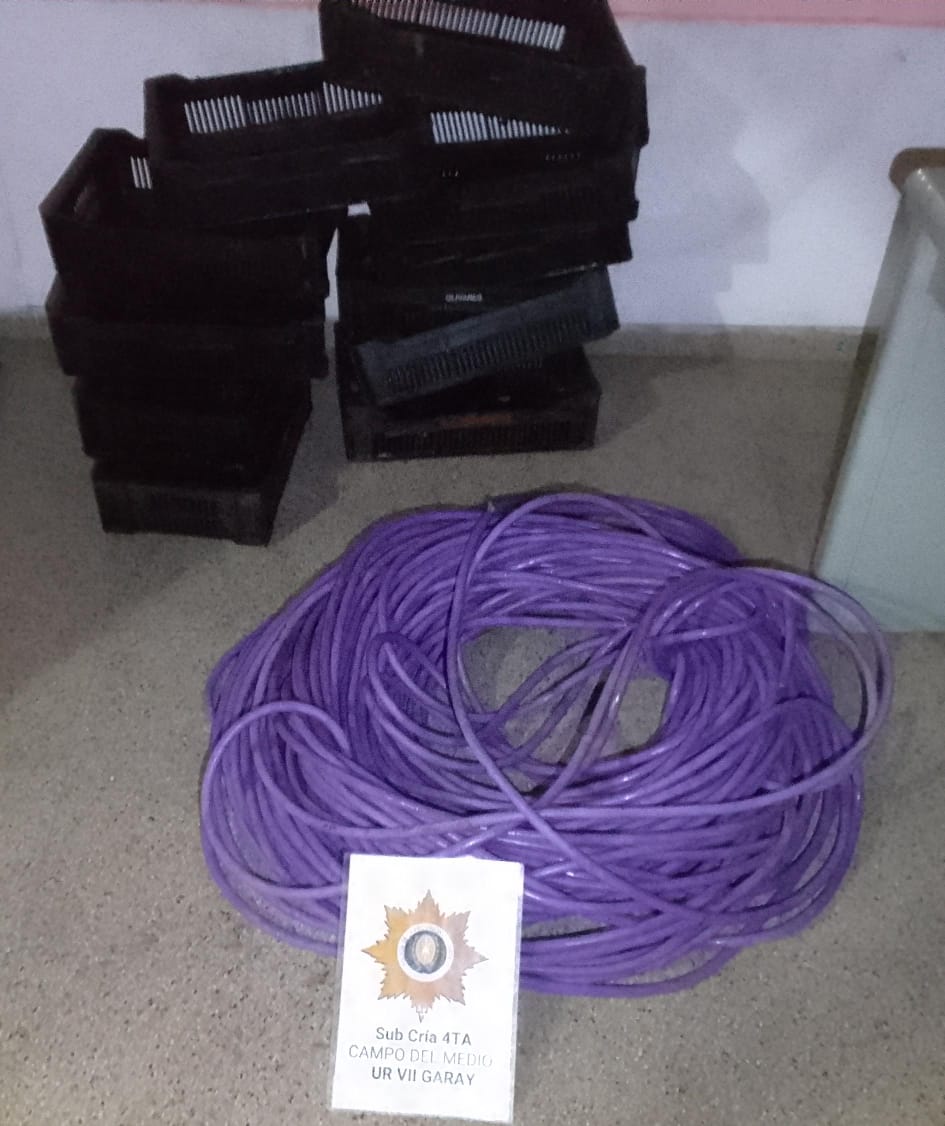 CAMPO DEL MEDIO RECUPERAMOS 240 METROS DE CABLE TRIFÁSICO Y CAJONES PARA ENVASAR FRUTILLA