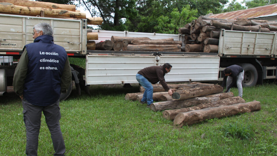 Provincia y Nación incautaron un cargamento de 210 rollos de despunte de Palo Santo