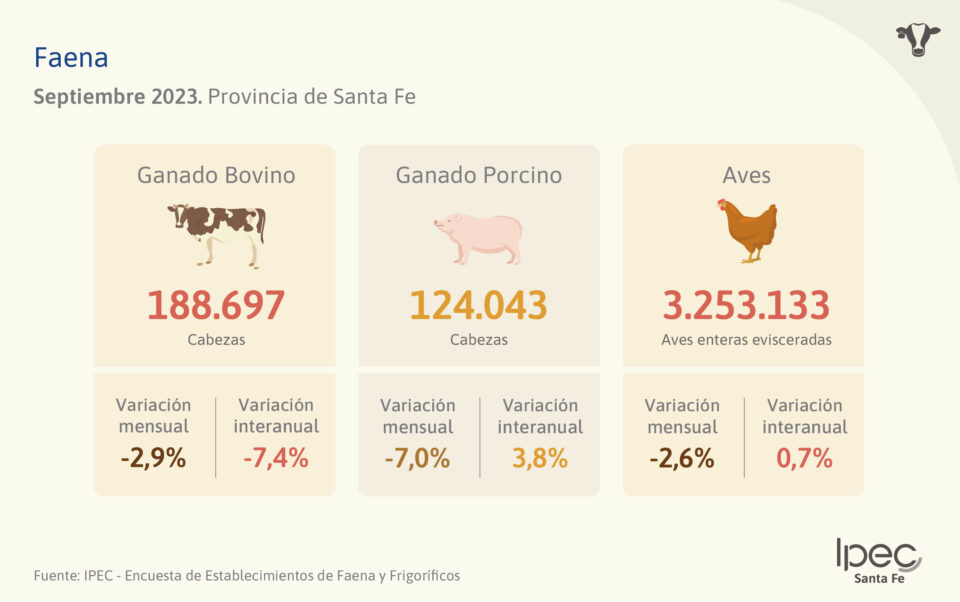 Faena  Septiembre 2023