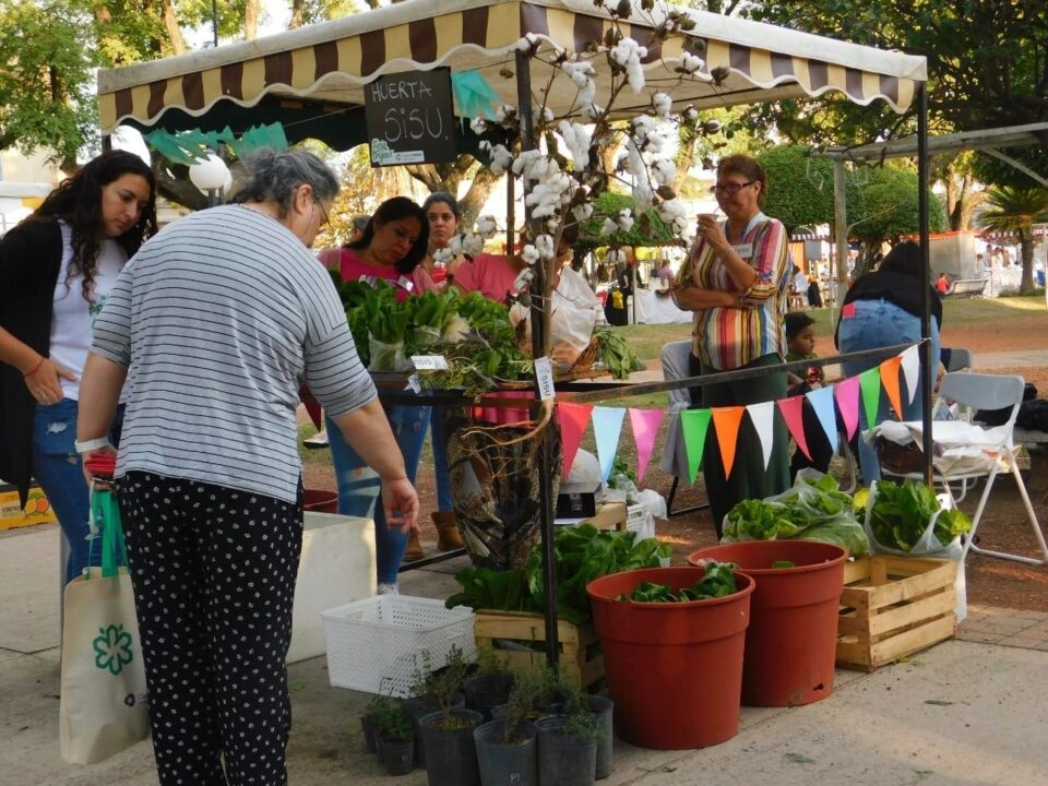 El domingo hay Feria desde el Origen