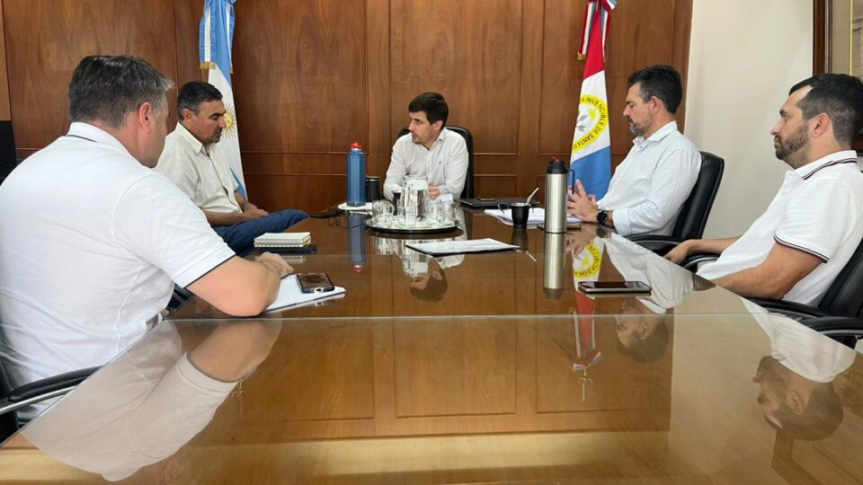 Más seguridad: Viotti retomará el uso de las cámaras lectoras de patente