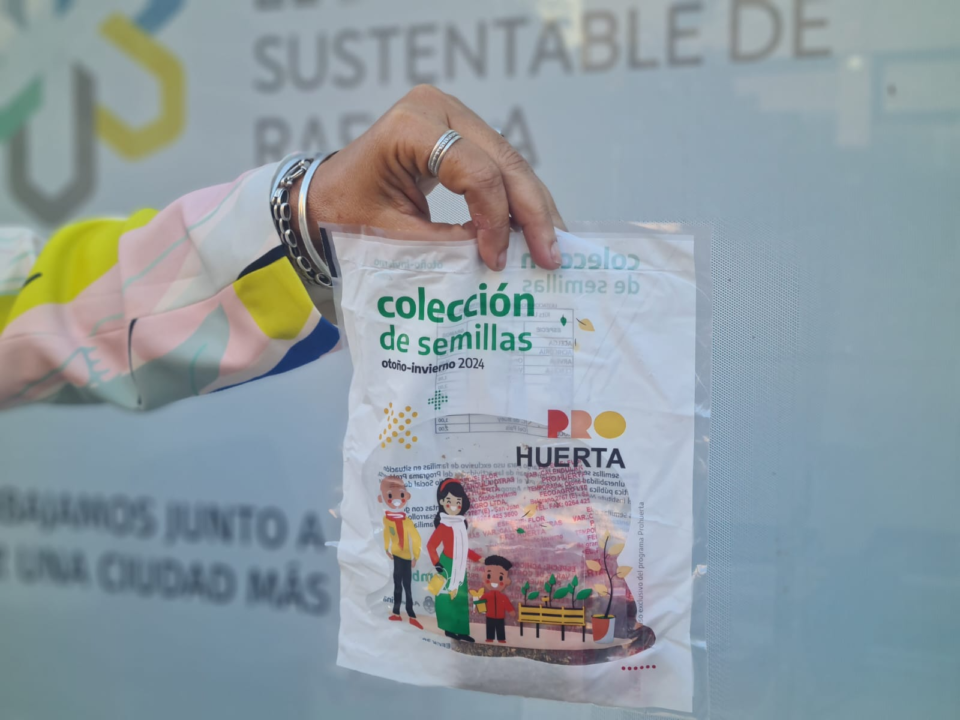 Semillas para la huerta en casa