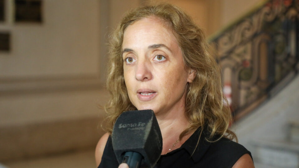 Dengue: actualización de la información y recomendaciones