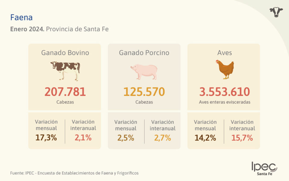 Faena – Enero 2024
