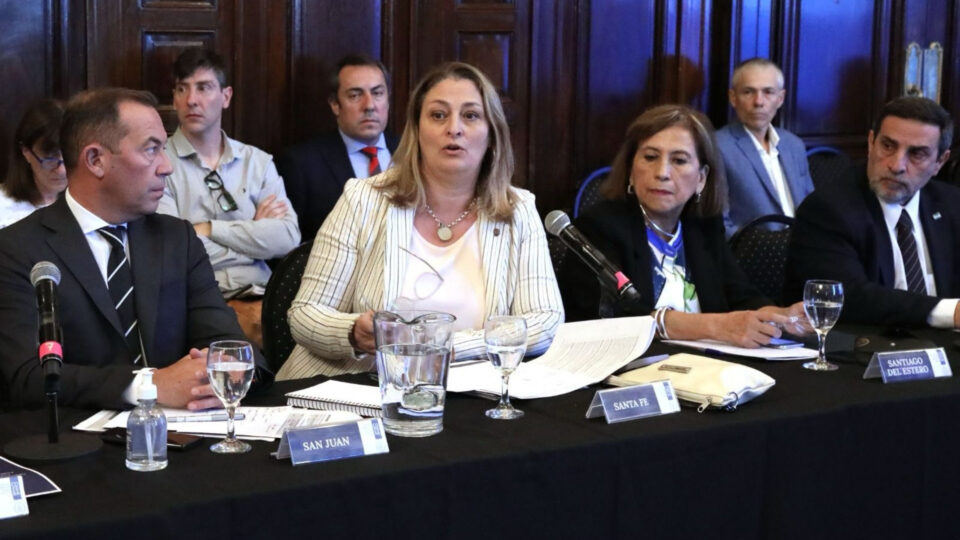 La ministra Ciancio participó del Primer Consejo Federal de Salud