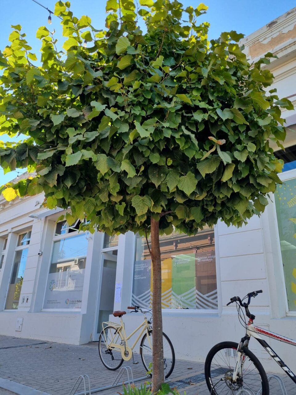 El Instituto para el Desarrollo Sustentable de Rafaela cumple un año más