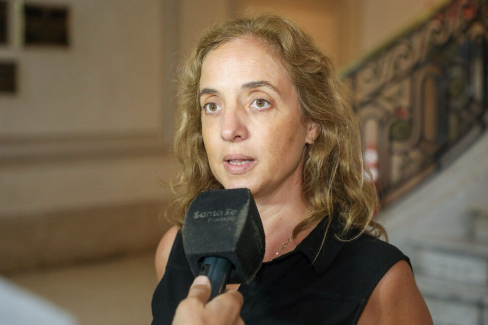 Dengue: situación epidemiológica en la Provincia de Santa Fe