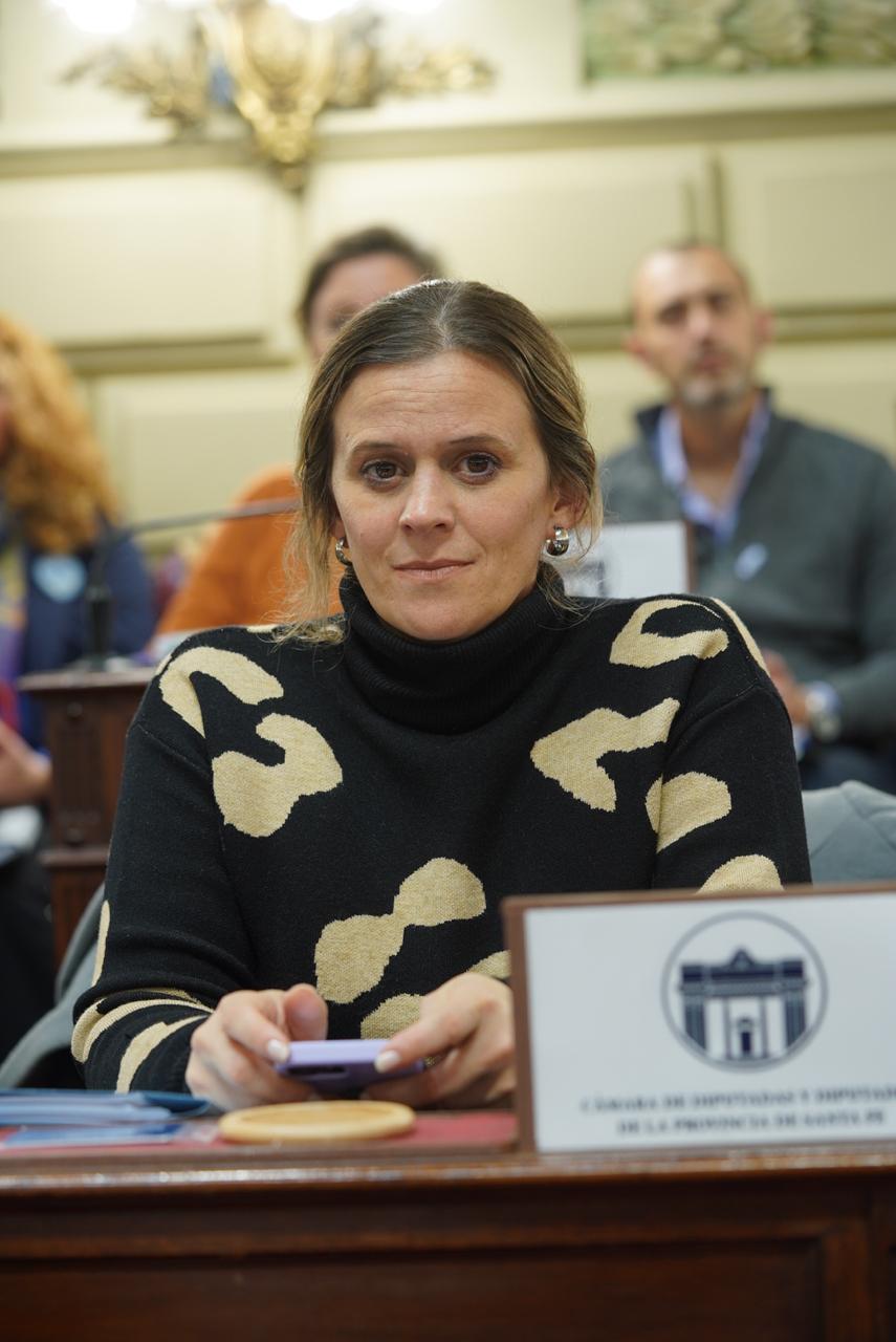 Ludopatía On Line: el problema llegó a la Legislatua provincial