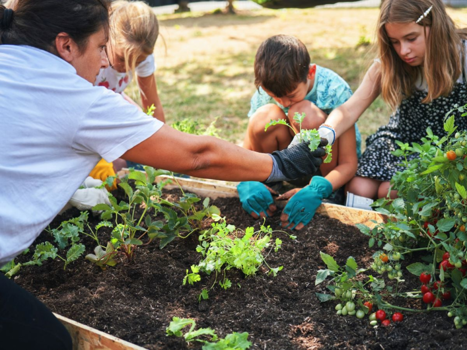 Taller de huerta en otoño