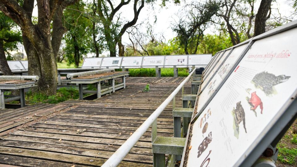 CAYASTA: Sumergirse en la biodiversidad del Parque Provincial, novedosa propuesta para disfrutar del Invierno en Santa Fe