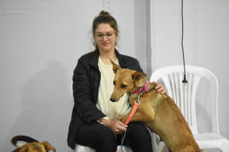 Salud animal y humana: Continúa el trabajo en los barrios