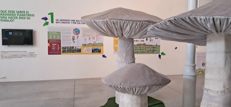 Se inaugura Experimenta Naturaleza en el CCVM