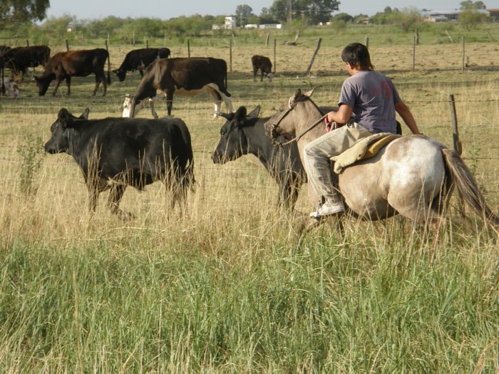 Los trabajadores rurales tendrán una mejora salarial del 7%