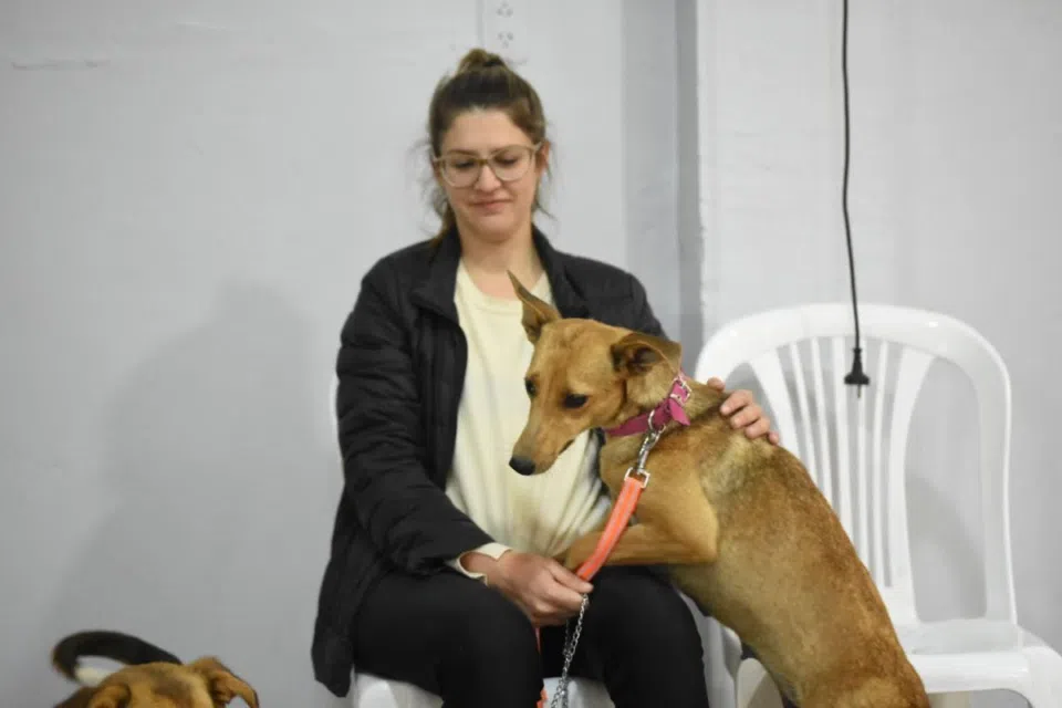 «Castraciones en tu barrio» se realizará en barrio Villa Dominga