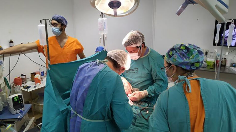 Cudaio: en julio, Santa Fe posibilitó uno de cada seis trasplantes en el país