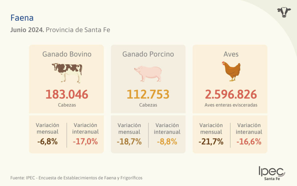 Faena  Provincia de Santa Fe – Junio 2024