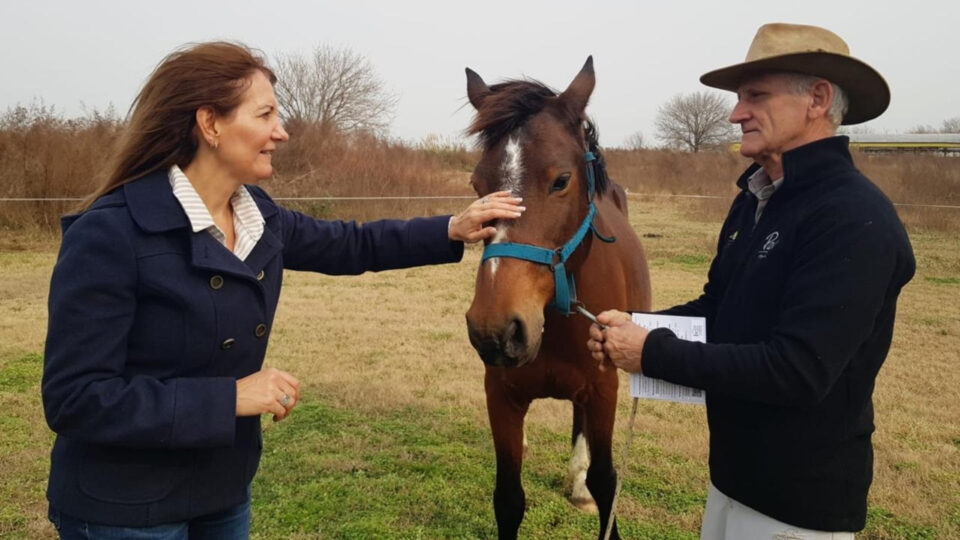 Provincia presentó la oferta turística para el mes de las infancias
