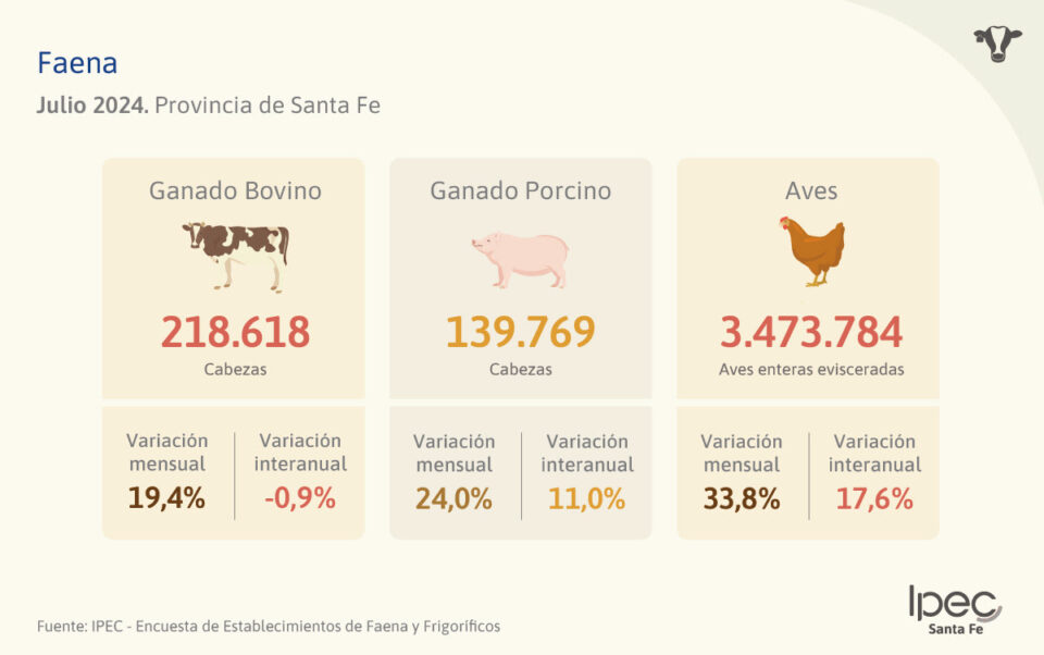 Faena Provincia de Santa Fe – Julio 2024