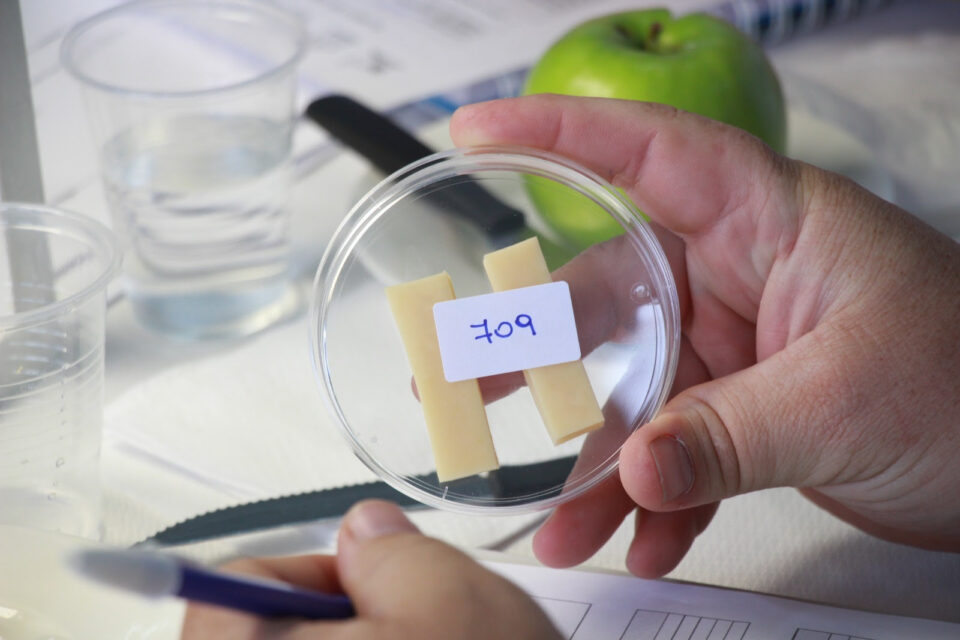 Industria láctea: Culmina el plazo para inscribirse al 2º Concurso Nacional de quesos, mantecas y dulce de leche
