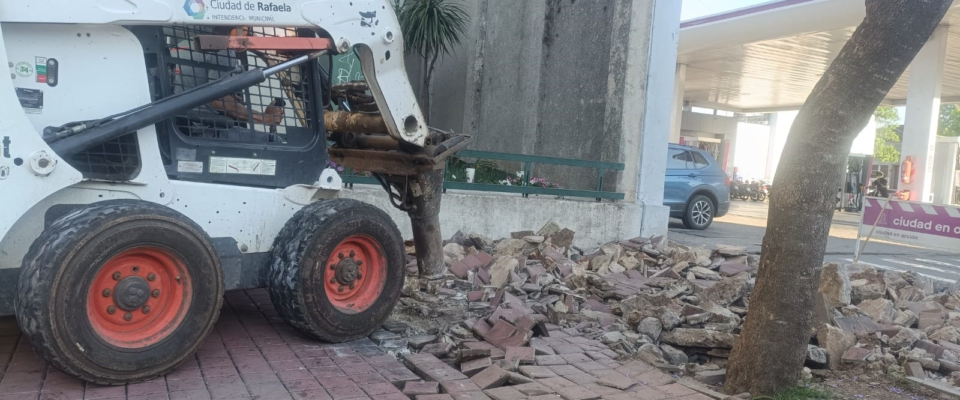 Se iniciaron obras de remodelación en las veredas del edificio municipal