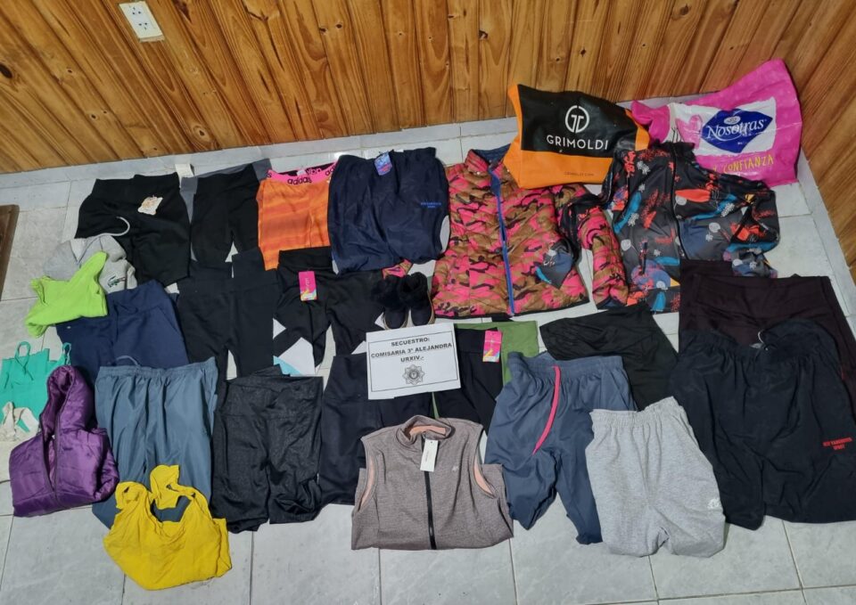 ESCLARECIERON UN HECHO DE ROBO PERPETRADO EN UN LOCAL COMERCIAL DE LA COMUNA DE ALEJANDRA