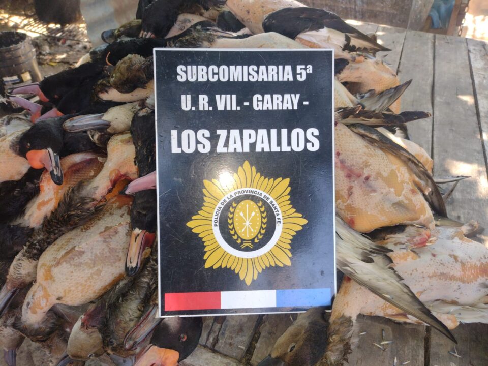 Dpto. Garay APREHENDIERON A DOS HOMBRES Y SECUESTRARON ALREDEDOR DE 70 PATOS Y UN ARMA DE FUEGO