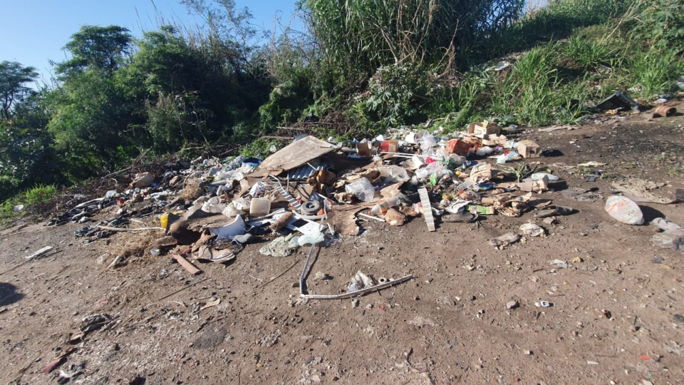 Acciones municipales contra la contaminación: La necesidad de un cambio en la conducta ciudadana