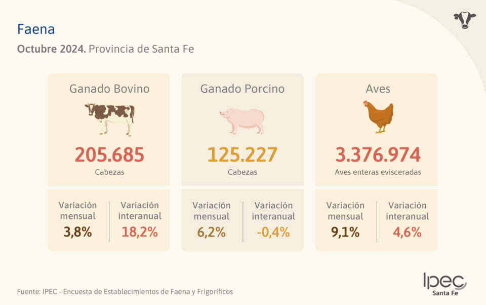 Faena Provincia de Santa Fe – Octubre 2024