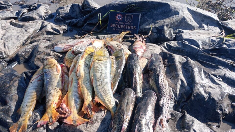 POLICÍAS IDENTIFICARON A TRES HOMBRES E INCAUTARON PESCADOS DE DIFERENTES ESPECIES POR INFINGIR LA LEY DE PESCA